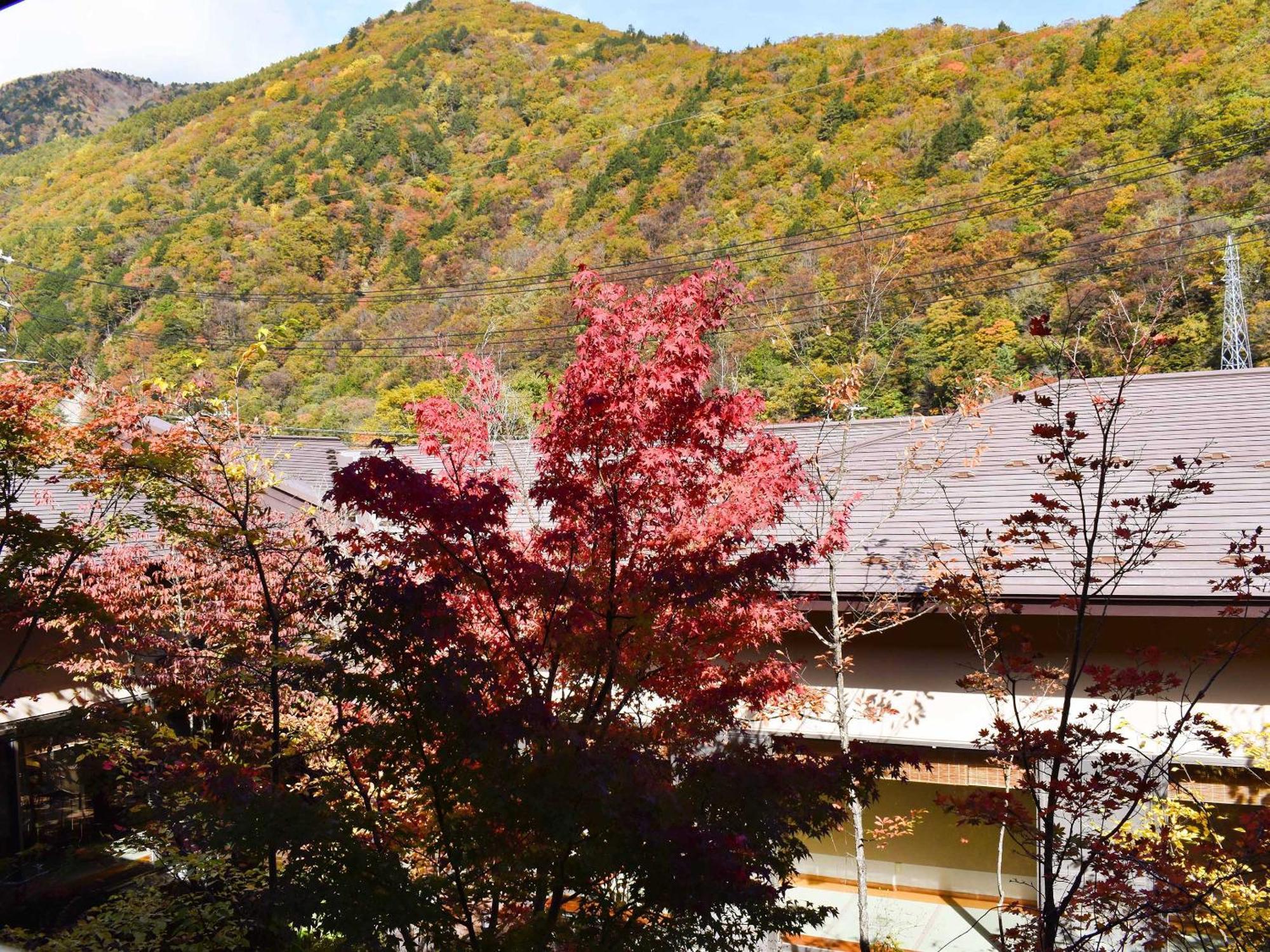 Keiryuso Siorie Hotel Matsumoto Eksteriør billede